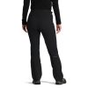 Outdoor Research Cirque III Pants – Women’s